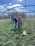 Montage serre mars 26